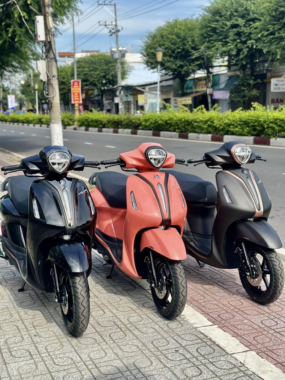 xe tay ga đẹp bền