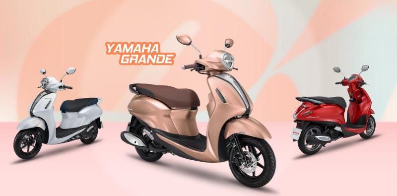 gia-xe-grande-2024