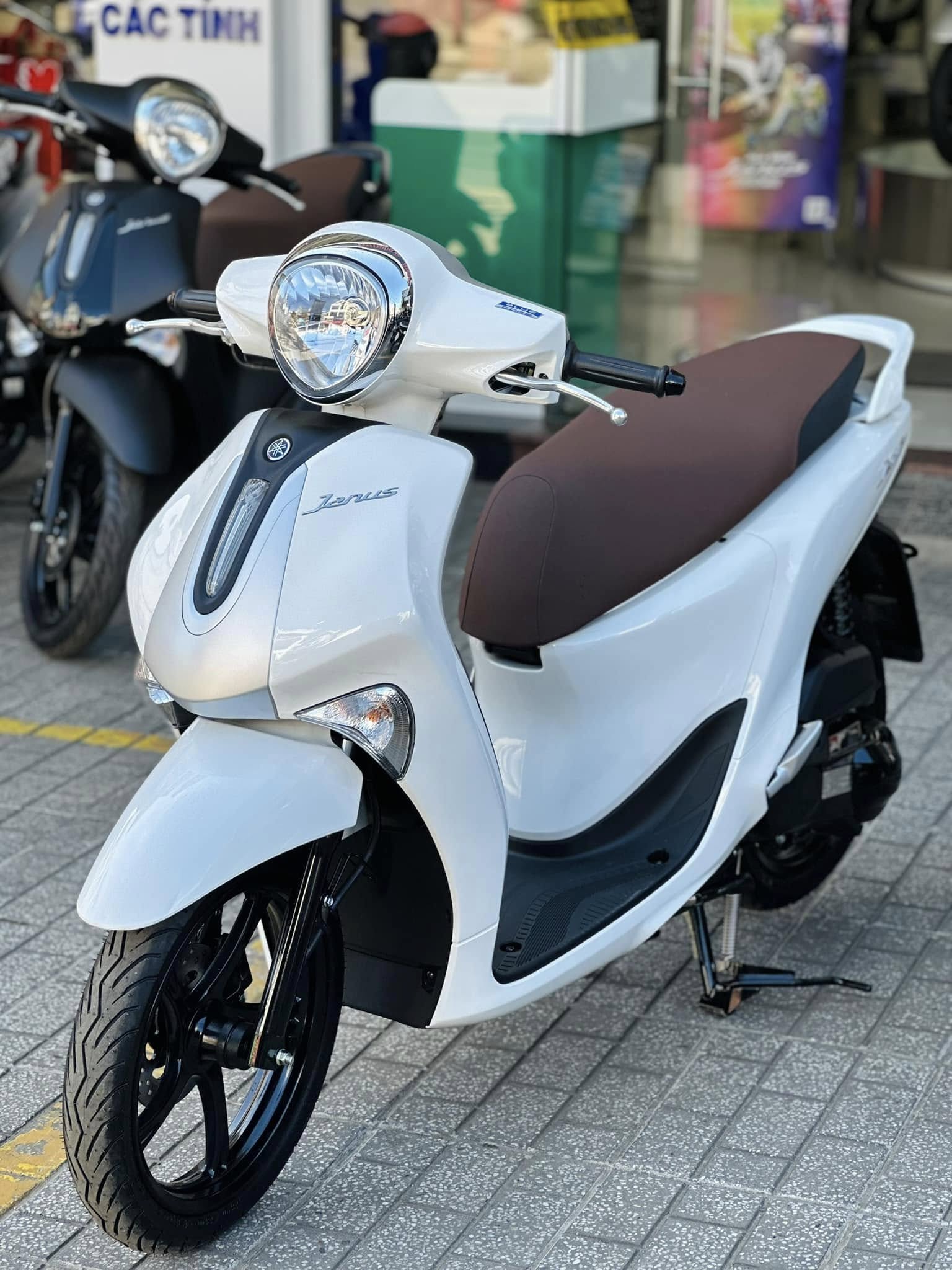 gia-xe-janus-2025-moi-nhat 